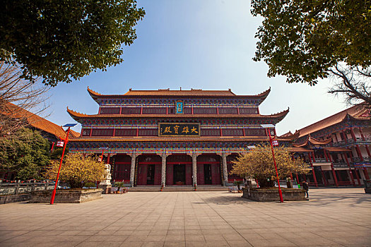 thống kê rongbachkim