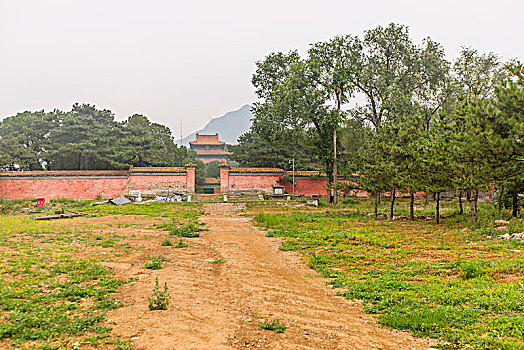dự đoán 3 miền