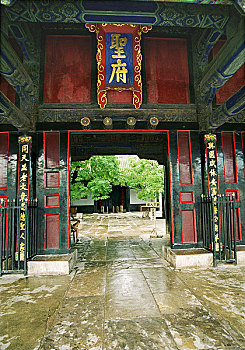 cầu vip miền bắc