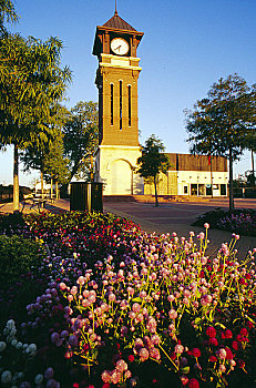 cau vip bach thu
