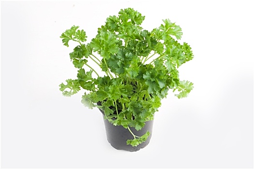 soi cầu xổ số hôm nay