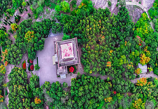 soi cau than tai mn