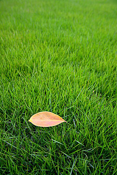 xổ số bữa nay
