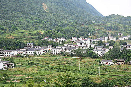 soi cau dng