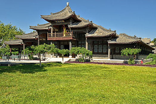 xs rong bach kim
