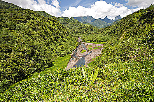 sổ kq